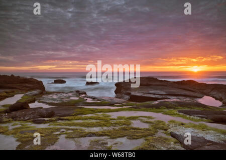 Am Abend licht Wärme auf die Brandung und Basalt Shoreline entlang der zentralen Oregon Coast in Yachats. Stockfoto