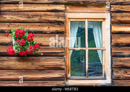 Ein Fragment eines Holz- Alpine House. Die Wand aus Baumstämmen, Fenster- und rote Blumen an der Wand hängen. Stockfoto