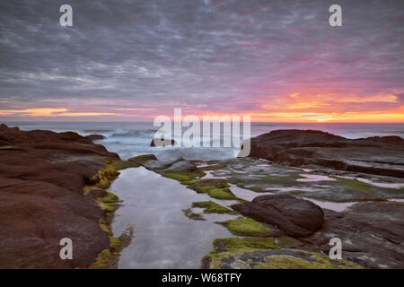 Am Abend licht Wärme auf die Brandung und Basalt Shoreline entlang der zentralen Oregon Coast in Yachats. Stockfoto