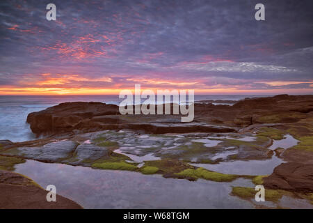 Am Abend licht Wärme auf die Brandung und Basalt Shoreline entlang der zentralen Oregon Coast in Yachats. Stockfoto