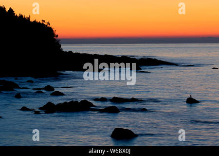 Küste Sonnenaufgang am Bear Cove Beach, Cappahayden, Neufundland und Labrador, Kanada Stockfoto