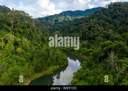 Luftaufnahme von dichten, bergige tropische Regenwald in Thailand Stockfoto