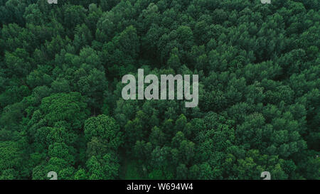 Landschaft von oben Stockfoto