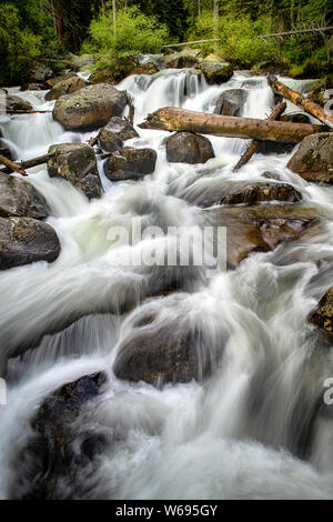 Der Norden Saint Vrain Creek Kaskaden über die Felsbrocken unter Calypso Kaskaden fällt im Rocky Mountain National Park im Sommer entfernt Stockfoto
