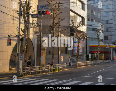 Tokio Architektur ist voll von Edelsteinen. Stockfoto