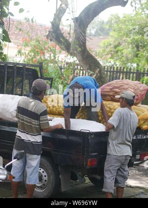 12. April 2019-Kediri, Indonesien: Händler transportieren landwirtschaftliche Erzeugnisse im Elternhaus in Kediri, bevor sie auf den Pare-Markt gebracht werden. Stockfoto