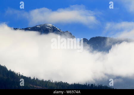 Inside Passage, Port McNeill, Vancouver Island, British Columbia, Kanada Stockfoto