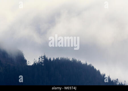 Inside Passage, Port McNeill, Vancouver Island, British Columbia, Kanada Stockfoto