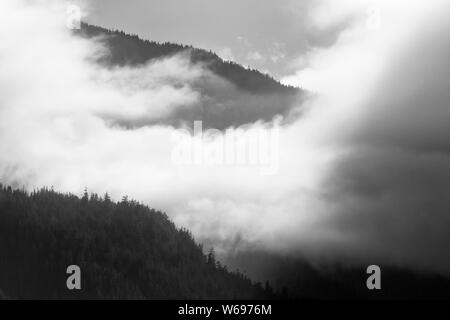Inside Passage, Port McNeill, Vancouver Island, British Columbia, Kanada Stockfoto