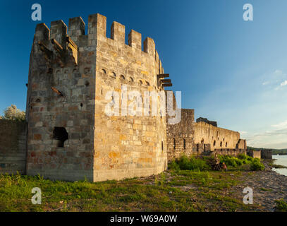 Smederevo Festung, eine der größten Befestigungsanlagen in Serbien Stockfoto