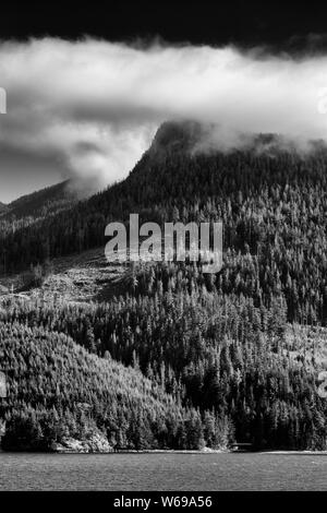Inside Passage, Port McNeill, Vancouver Island, British Columbia, Kanada Stockfoto