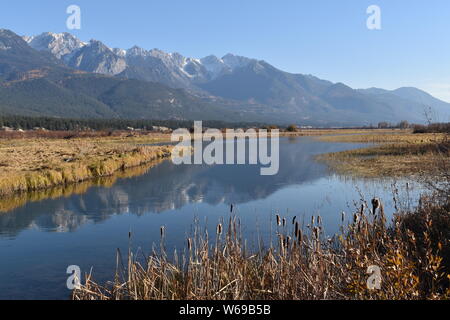 Das Quellgebiet des Columbia River, wie es schlängelt sich durch Columbia Valley's BC Stockfoto