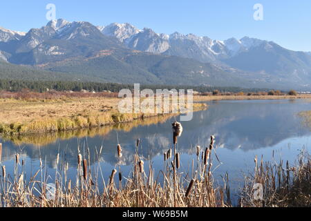 Das Quellgebiet des Columbia River, wie es schlängelt sich durch Columbia Valley's BC Stockfoto