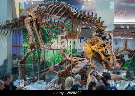 Versteinerten Knochen des Tyrannosaurus rex namens der Nation T-Rex, in