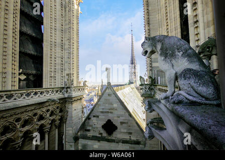 Berühmte Statue und Wasserspeier auf dem Dach der Kathedrale Notre Dame in Paris. Stockfoto