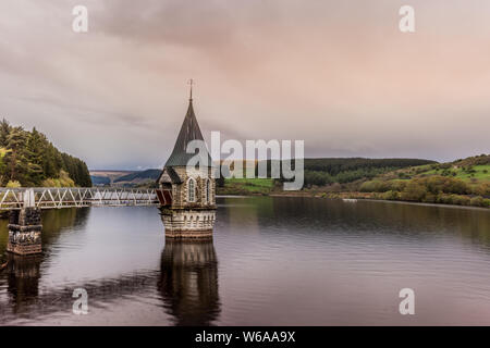 SOUTH WALES TIERE UND LANDSCHAFTEN Stockfoto