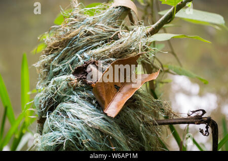 Verschmutzung der Abfälle in nautre Stockfoto