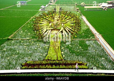 Eine 3D-Reisfeld Malerei der "Thousand-Hand Guan Yin, der Bodhisattva des Mitgefühls", ist auf der Reisfelder in Shenyang City, im Nordosten Chi Stockfoto