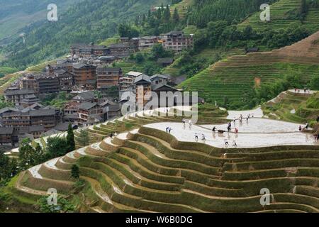 Die Menschen feiern die Verpflanzung Reis Festival oder Shuyang Festival bei Longji Terraced Rice Fields in Heping Dorf, Longsheng verschiedener Nationalitäten Stockfoto