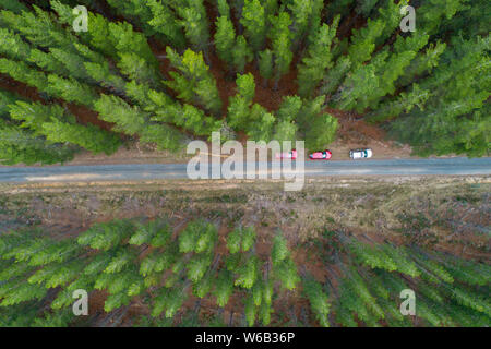 Von oben nach unten Blick auf Pinien und drei geparkte Autos auf den ländlichen Straßen in Australien Stockfoto