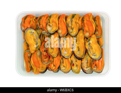 Gedämpfte Miesmuscheln in Kunststoffbox für die Lieferung. Muschel Fleisch gekocht ohne Schale in wiederverwendbare, auf weißem Hintergrund. Meeresfrüchte online-d Stockfoto