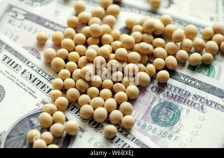 ---- Blick auf importierte Sojabohnen auf US-Dollar lautenden Banknoten im Ji'Nan, der ostchinesischen Provinz Shandong, 8. April 2018. American Soybean Association Stockfoto