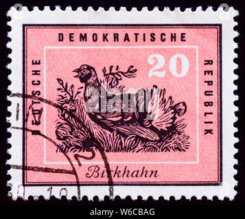 Ddr Briefmarken - Birkhuhn Stockfoto