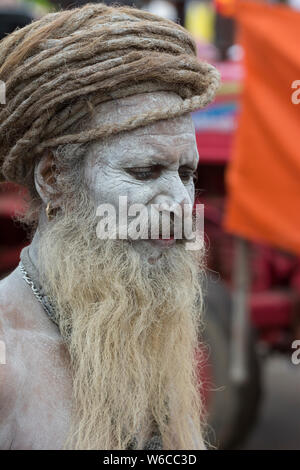 Porträt einer Naga Sadhu mit sehr langen Haare während Kumbh Mela Trimbakeshwar, Nasik, Indien, Asien Stockfoto