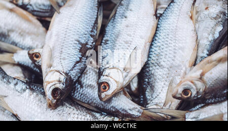 Frischen Fisch in den Store auf dem Hintergrund. Stockfoto