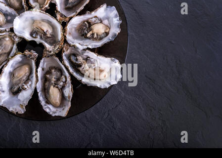 Austern Platte mit Zitrone auf rosa Hintergrund.Frische Austern Nahansicht oben. Gesundes Meeresessen.Oyster Dinner mit Champagner im Restaurant.Gourmet Essen Stockfoto