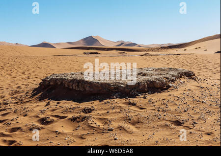 Nahaufnahme einer flachen Felsen die Verlegung in die Namibische Wüste zwischen Sossusvlei und Deadvlei. Stockfoto