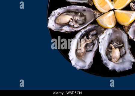 Austern Platte mit Zitrone auf blauem Hintergrund.Frische Austern Nahansicht oben. Gesundes Meeresessen.Oyster Dinner mit Champagner im Restaurant.Gourmet Essen Stockfoto