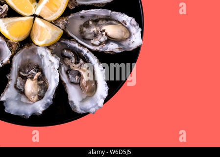 Austern Platte mit Zitrone auf Korallenhintergrund. Frische Austern Nahansicht von oben. Gesundes Meeresessen.Oyster Dinner mit Champagner im Restaurant.Gourmet Essen Stockfoto