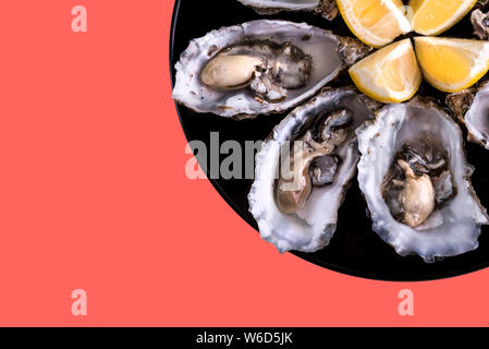 Austern Platte mit Zitrone auf Korallenhintergrund. Frische Austern Nahansicht von oben. Gesundes Meeresessen.Oyster Dinner mit Champagner im Restaurant.Gourmet Essen Stockfoto