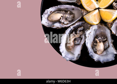 Austern Platte mit Zitrone auf rosa Hintergrund. Tisch mit Austern und Zitrone serviert. Frische Austern Nahansicht von oben. Gesunde Meeresnahrung. Austern-Abendessen Stockfoto