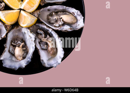 Austern Platte mit Zitrone auf rosa Hintergrund. Tisch mit Austern und Zitrone serviert. Frische Austern Nahansicht von oben. Gesunde Meeresnahrung. Austern-Abendessen Stockfoto