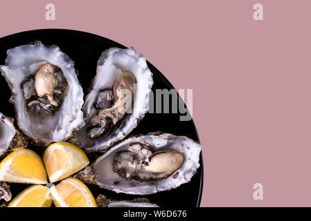 Austern Platte mit Zitrone auf rosa Hintergrund. Tisch mit Austern und Zitrone serviert. Frische Austern Nahansicht von oben. Gesunde Meeresnahrung. Austern-Abendessen Stockfoto