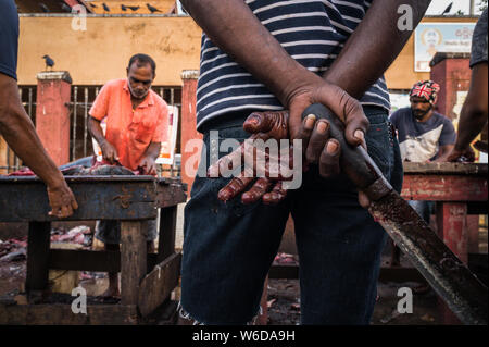 Männer schneiden von Fisch mit Krähen im Hintergrund, Negombo Fischereihafen, Negombo, Sri Lanka Stockfoto