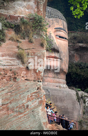 Die Leshan Giant Buddha oder Leshan Grand Buddha in der Nähe von Chengdu. Dies ist die höchste Stein Buddha-Statue der Welt. Leshan Buddha, Sichuan, Kopf anzeigen. Stockfoto