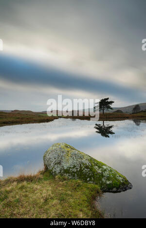 Wunderschöne Landschaft Bild von Moody Sturmwolken über Kelly Halle Tarn in Lake District im späten Herbst am Nachmittag Stockfoto