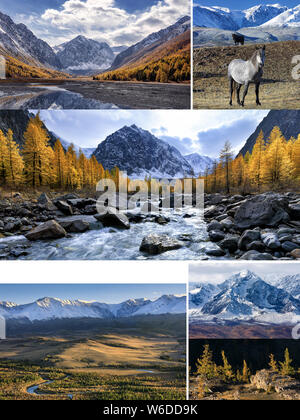 Collage aus Fotos mit Platz für Text. Herbst Landschaft mit aktru Fluss und Peak Caratash, chuya Fluss, Kurai Steppe und Berge, wilde Pferde und Stockfoto