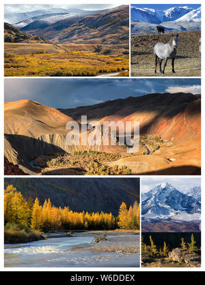 Collage aus Fotos mit Platz für Text. Herbst Landschaft mit aktru Fluss und Peak Caratash, chuya Fluss, Kurai Steppe und Berge, wilde Pferde und Stockfoto