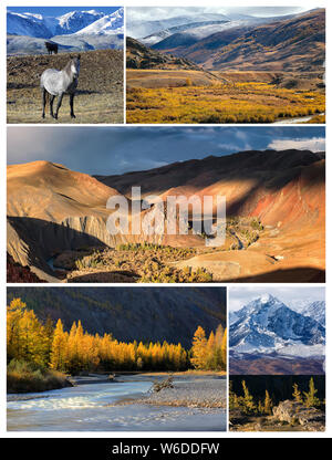 Collage aus Fotos. Goldene Herbst Landschaft mit North Ridge Chuya Berge, Tal der Kyzylshin Fluss und Altai Gebirge, wilde Pferde und Wald Stockfoto