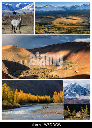 Collage aus Fotos. Herbst Landschaft mit North Ridge Chuya Berge, Tal der Kyzylshin Fluss und Altai Gebirge, wilde Pferde und Lärchen Stockfoto