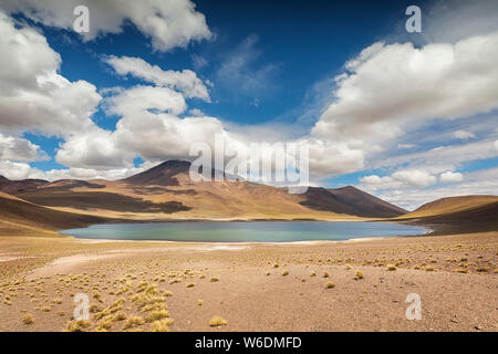 Atemberaubende Himmel über Laguna Miñiques. Herbst Landschaft der Atacama Wüste. Chile. Anden, Südamerika Stockfoto