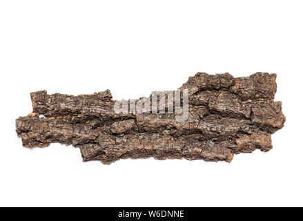 Rinde oder Kruste von trockenen alten Baum auf weißem Hintergrund - Ansicht von Oben, Baumrinde isoliert Stockfoto