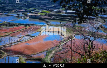 ------ Landschaft von terrassierten Reisfeldern Honghe der Hani Reisterrassen, einer von der UNESCO zum Weltkulturerbe erklärt, in Yuanyang County, Honghe der Hani Stockfoto