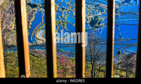 ------ Landschaft von terrassierten Reisfeldern Honghe der Hani Reisterrassen, einer von der UNESCO zum Weltkulturerbe erklärt, in Yuanyang County, Honghe der Hani Stockfoto