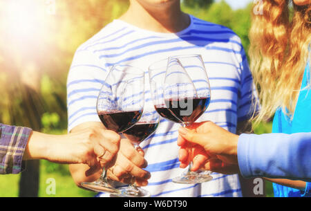 Familie unterschiedlichen Alters Menschen fröhlich feiern im Freien mit Gläser Rotwein, Toast verkünden Stockfoto