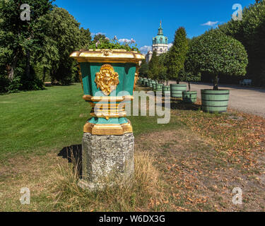 Dekoratives Grün & gold Pflanzmaschine in Schloss Charlottenburg, dem Königlichen Palast Garten in Charlottenburg, Berlin. Stockfoto
